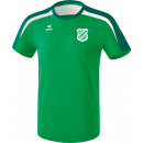 VK TSV Treia 1902 T-Shirt grün inkl. Vereinslogo und...