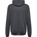 Hummel hmlAUTHENTIC PL HOODIE