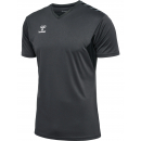 Hummel hmlAUTHENTIC PL JERSEY S/S